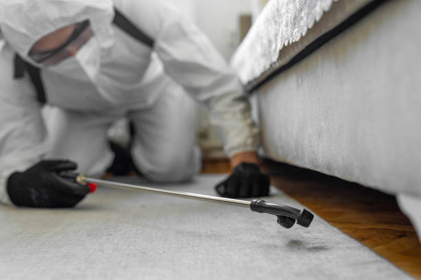 Professional Termite Control technician working in Murphys, CA