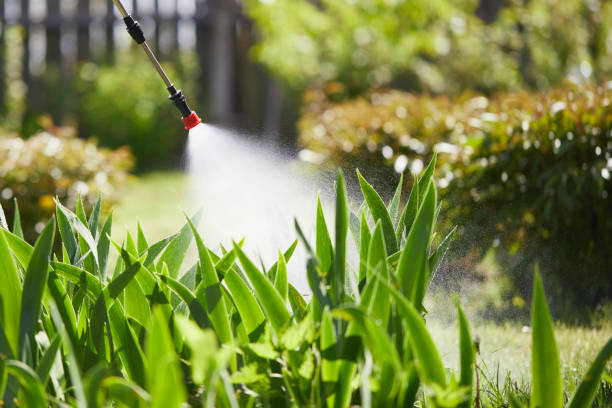24/7 Emergency Termite Control experts in Murphys, CA