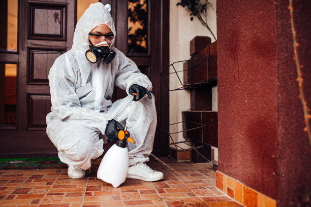Reliable Termite Control contractor in Murphys, CA by Nex Pest Control