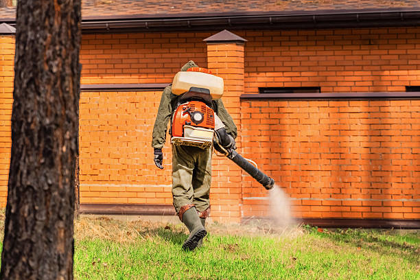 Top rated local Termite Control specialists in Murphys, CA